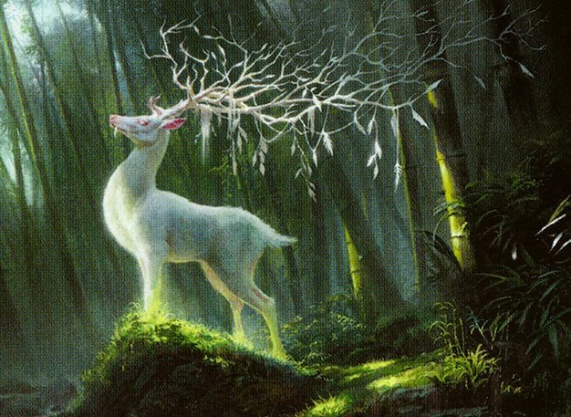 Sacred White Deer Crop image Wallpaper