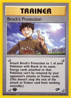 Brock's Protection G2 101