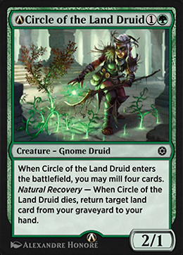 A-Circle of the Land Druid image