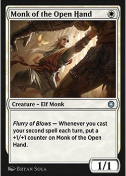 Monk of the Open Hand image
