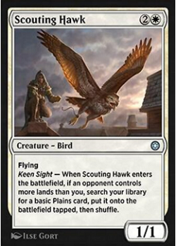 Scouting Hawk image