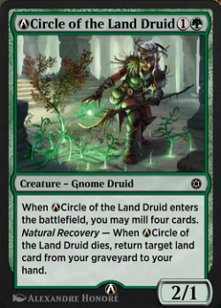 A-Circle of the Land Druid image