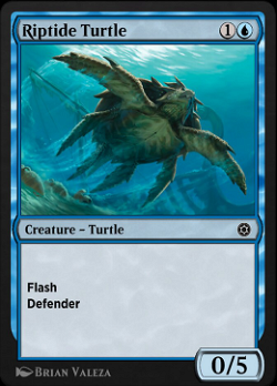 Springflut-Schildkröte