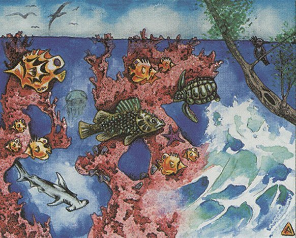 Coral Reef Crop image Wallpaper