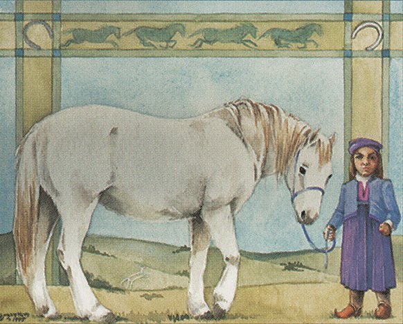 Dwarven Pony Crop image Wallpaper