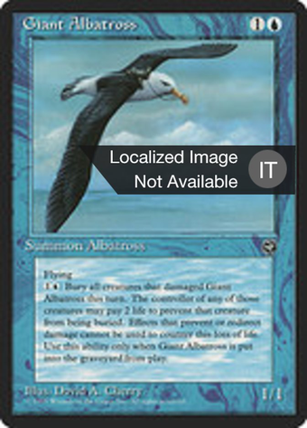Giant Albatross Full hd image