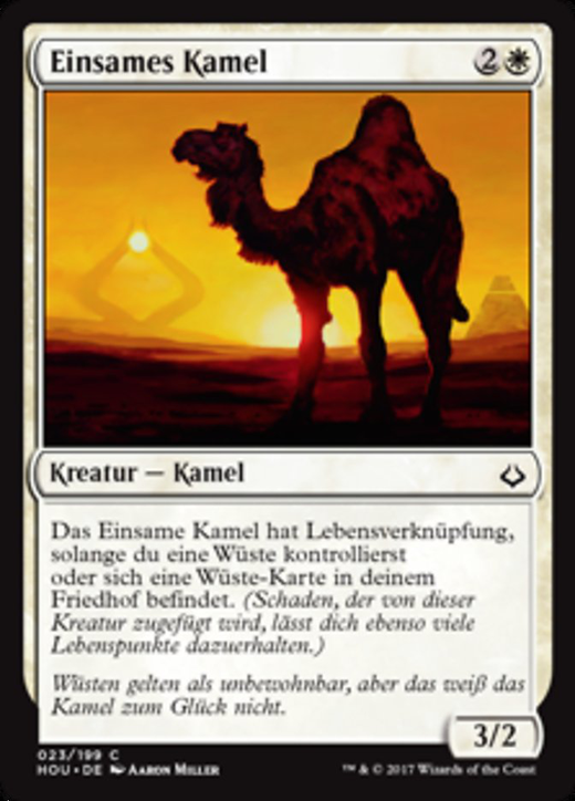 Solitary Camel Full hd image