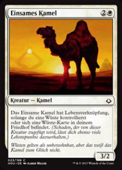 Einsames Kamel image