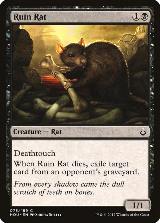 Ruin Rat image
