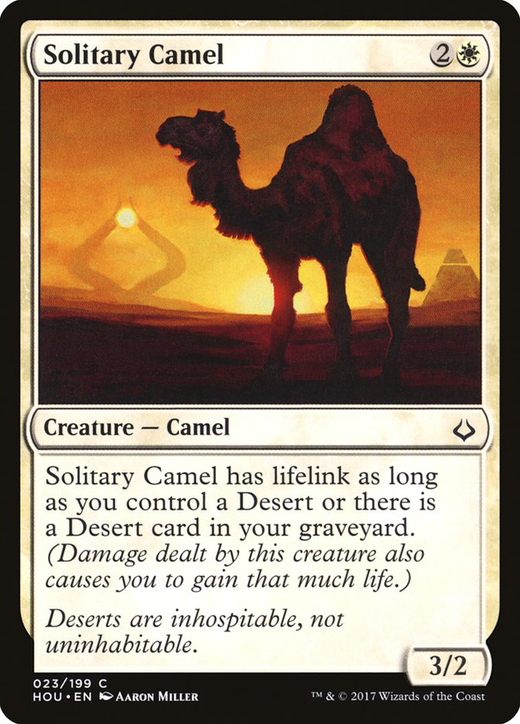 Solitary Camel Full hd image