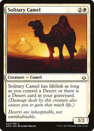 Solitary Camel image