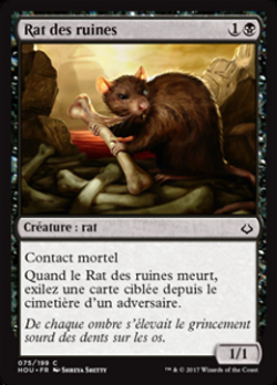 Rat des ruines image