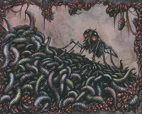 Flow of Maggots Crop image Wallpaper