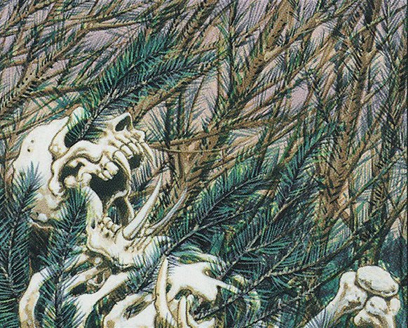 Wall of Pine Needles Crop image Wallpaper
