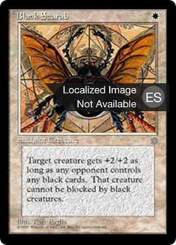 Escarabajo negro image