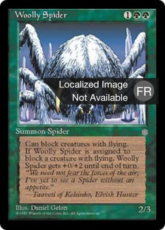 Woolly Spider Full hd image