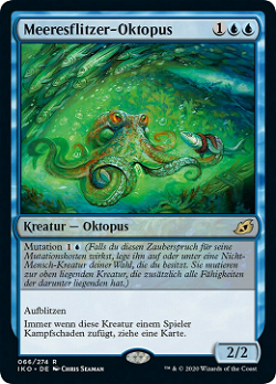 Meeresflitzer-Oktopus image
