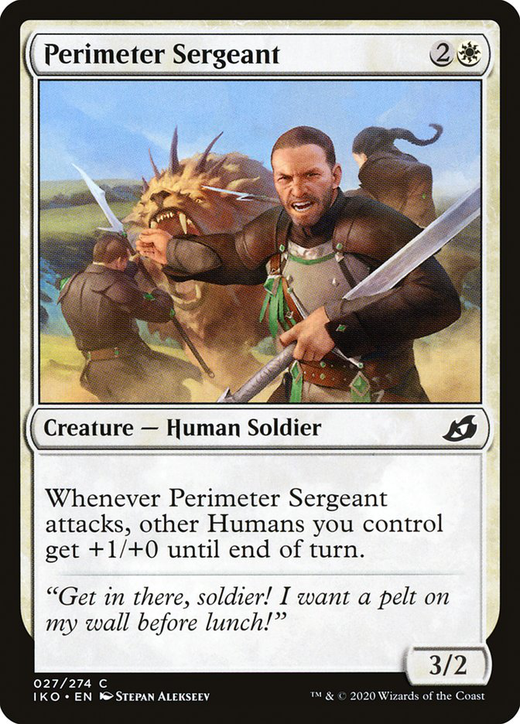 Perimeter Sergeant Full hd image