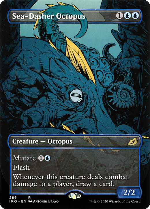 Meeresflitzer-Oktopus image