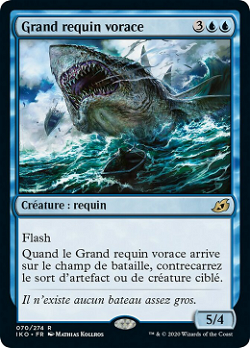 Grand requin vorace image