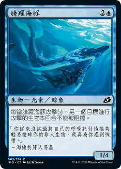 騰躍海豚 image