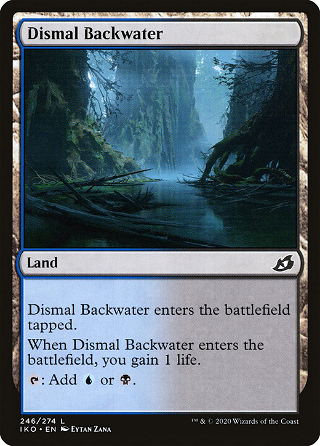 Dismal Backwater image