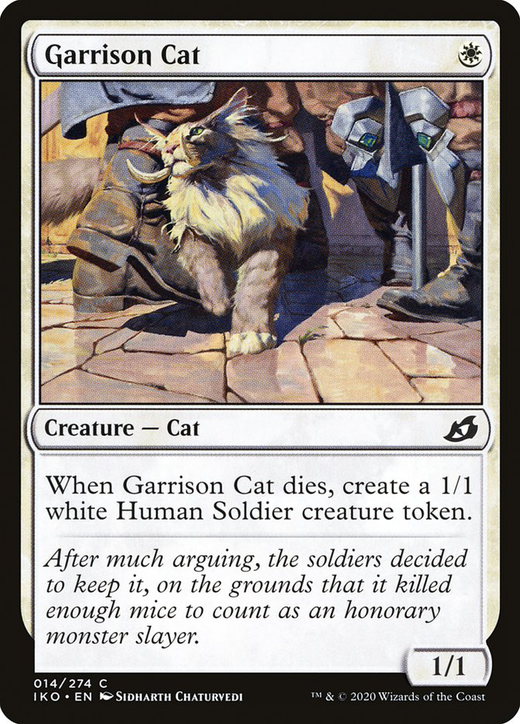 Garrison Cat Full hd image