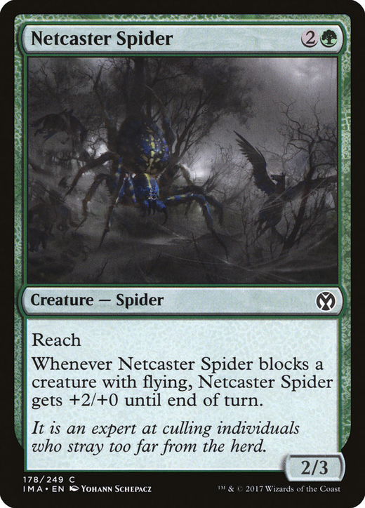 Netcaster Spider Full hd image