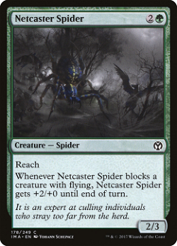 Netcaster Spider