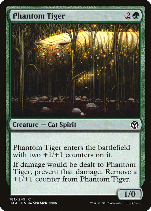 Phantom Tiger Full hd image