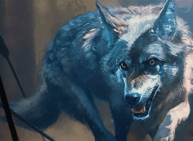 Young Wolf Crop image Wallpaper