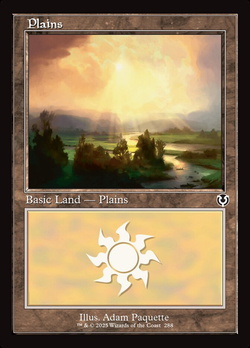 Plains image