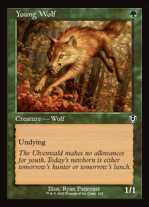 Young Wolf Full hd image