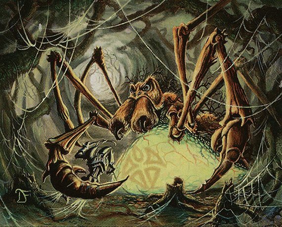 Pincer Spider Crop image Wallpaper