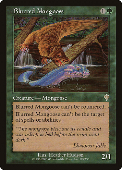 Blurred Mongoose image