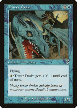 Tower Drake image