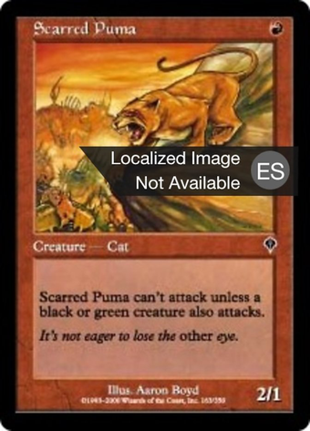 Scarred Puma Full hd image