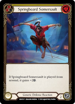 Springplank salto (2)