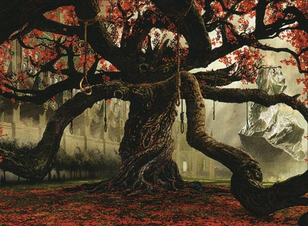 Tree of Redemption Crop image Wallpaper