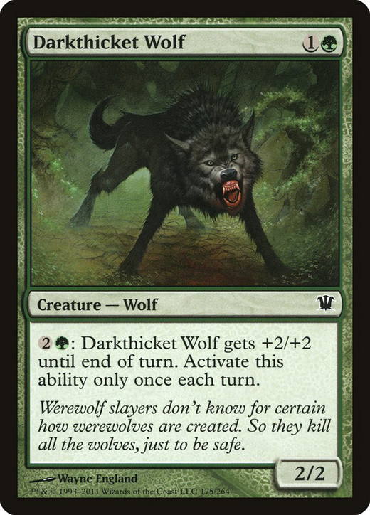 Darkthicket Wolf Full hd image