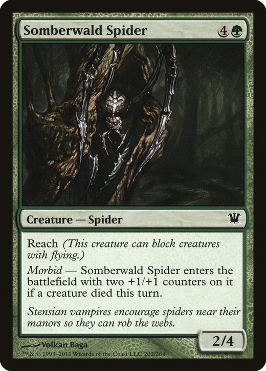 Somberwald Spider Full hd image