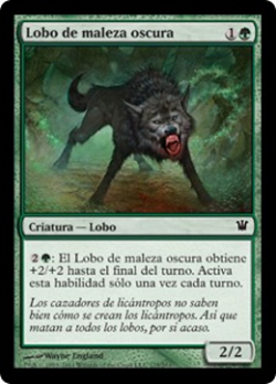 Lobo de maleza oscura image