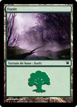 Forêt