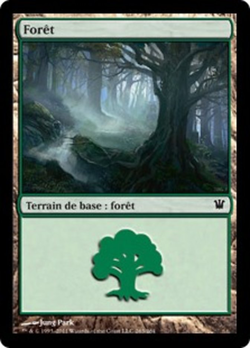 Forêt