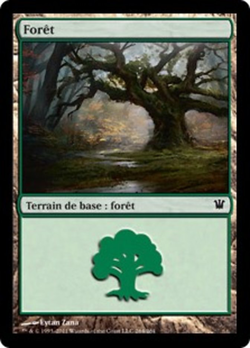 Forêt