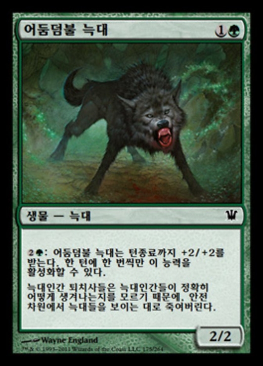 Darkthicket Wolf Full hd image