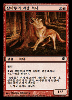 산마루의 야생 늑대 image
