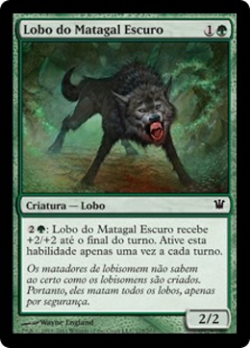 Lobo do Matagal Escuro image