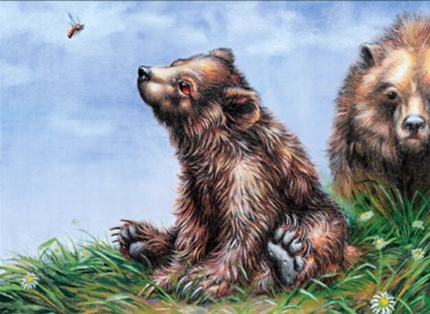 Bear Cub Crop image Wallpaper
