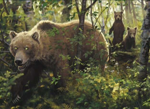 Mother Bear Crop image Wallpaper